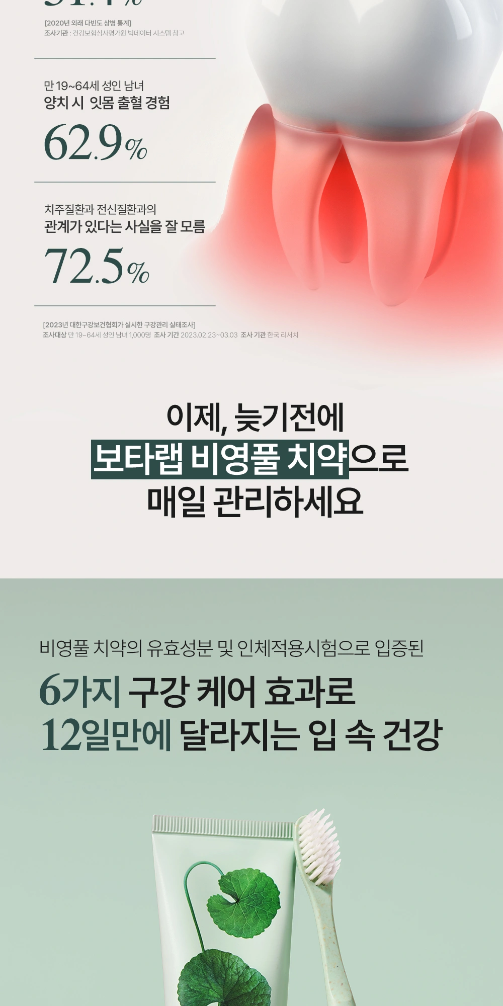 보타랩 비영풀 치약 상세 페이지 작업