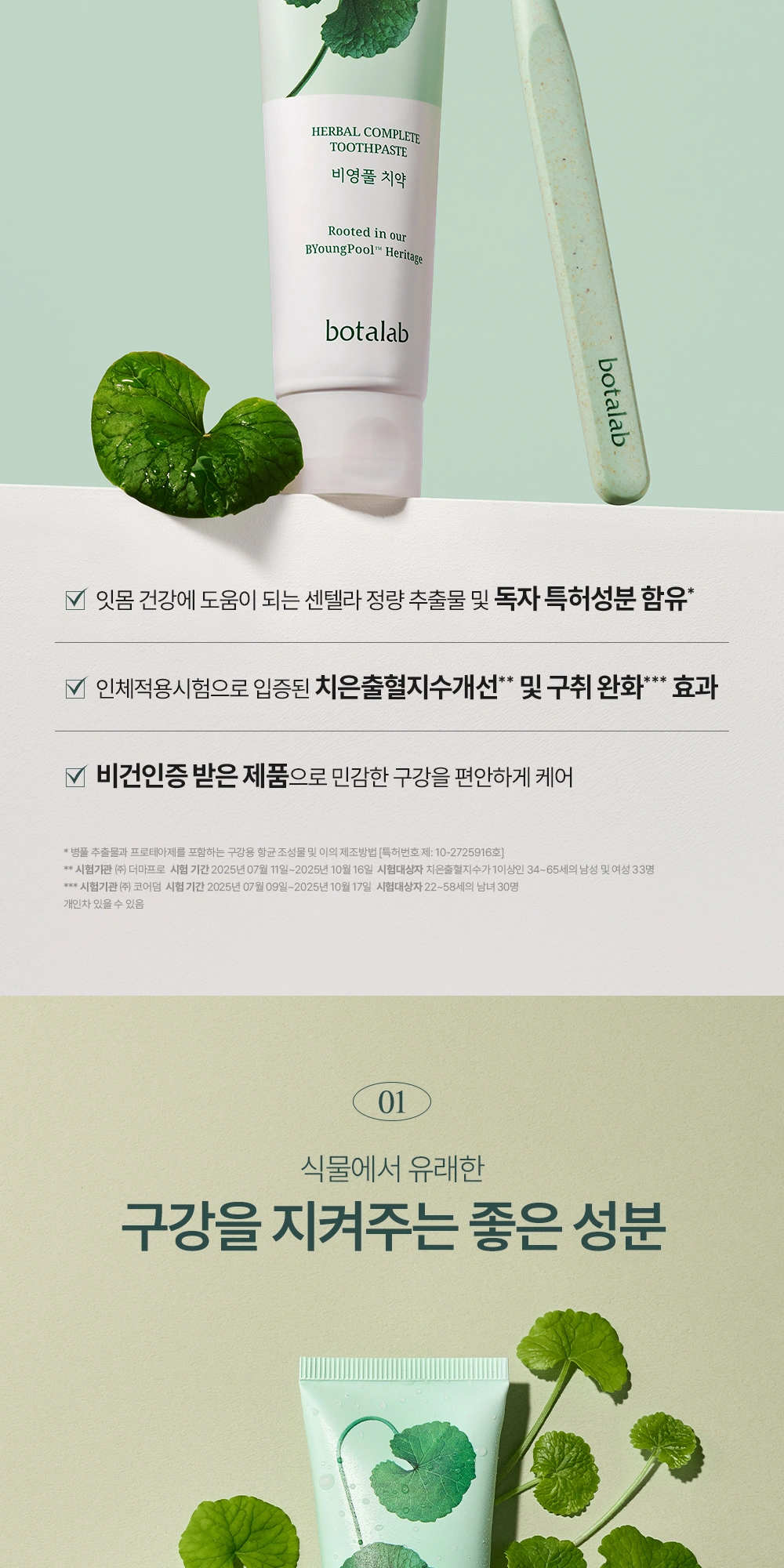 보타랩 비영풀 치약 상세 페이지 작업