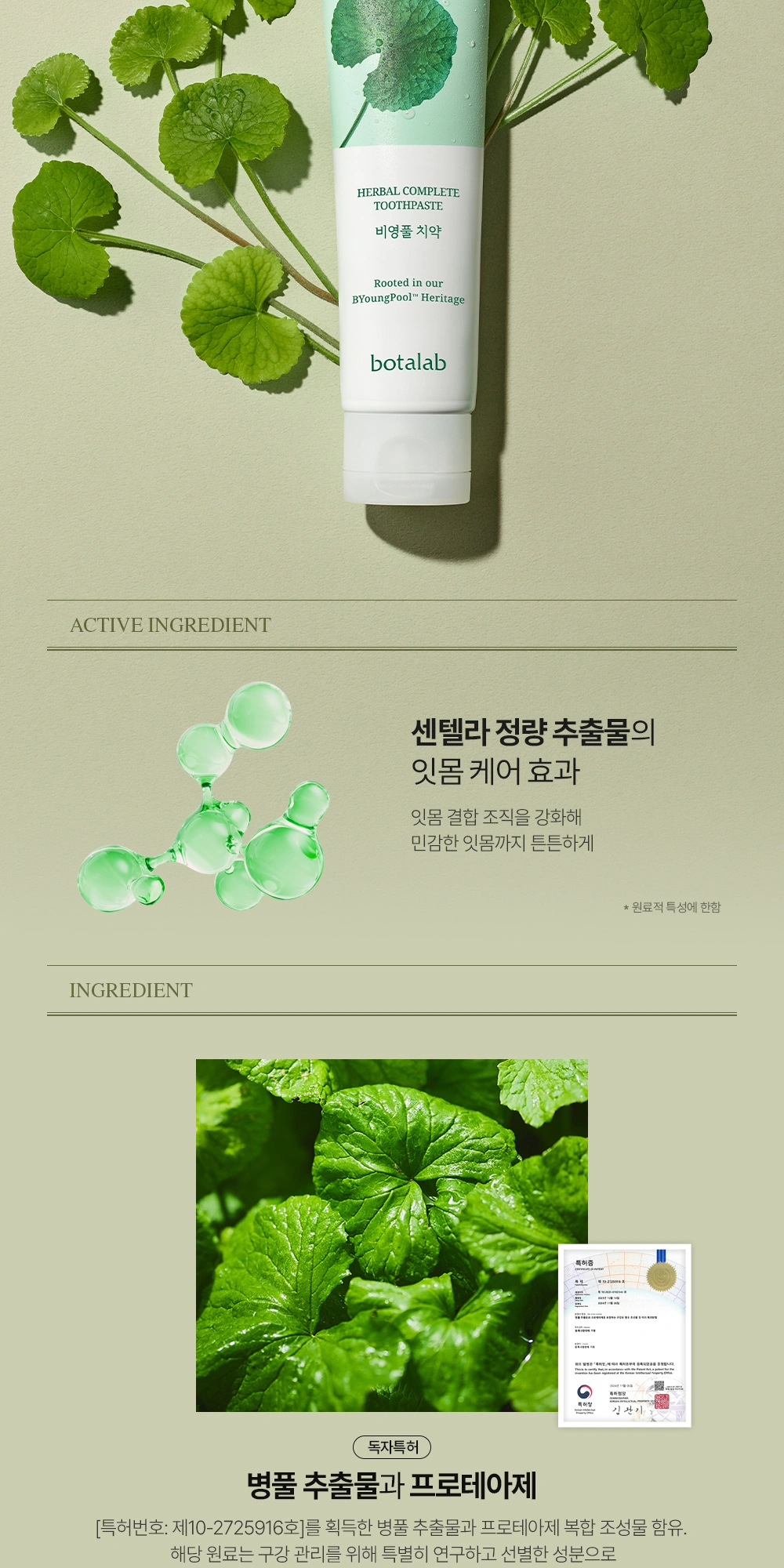 보타랩 비영풀 치약 상세 페이지 작업
