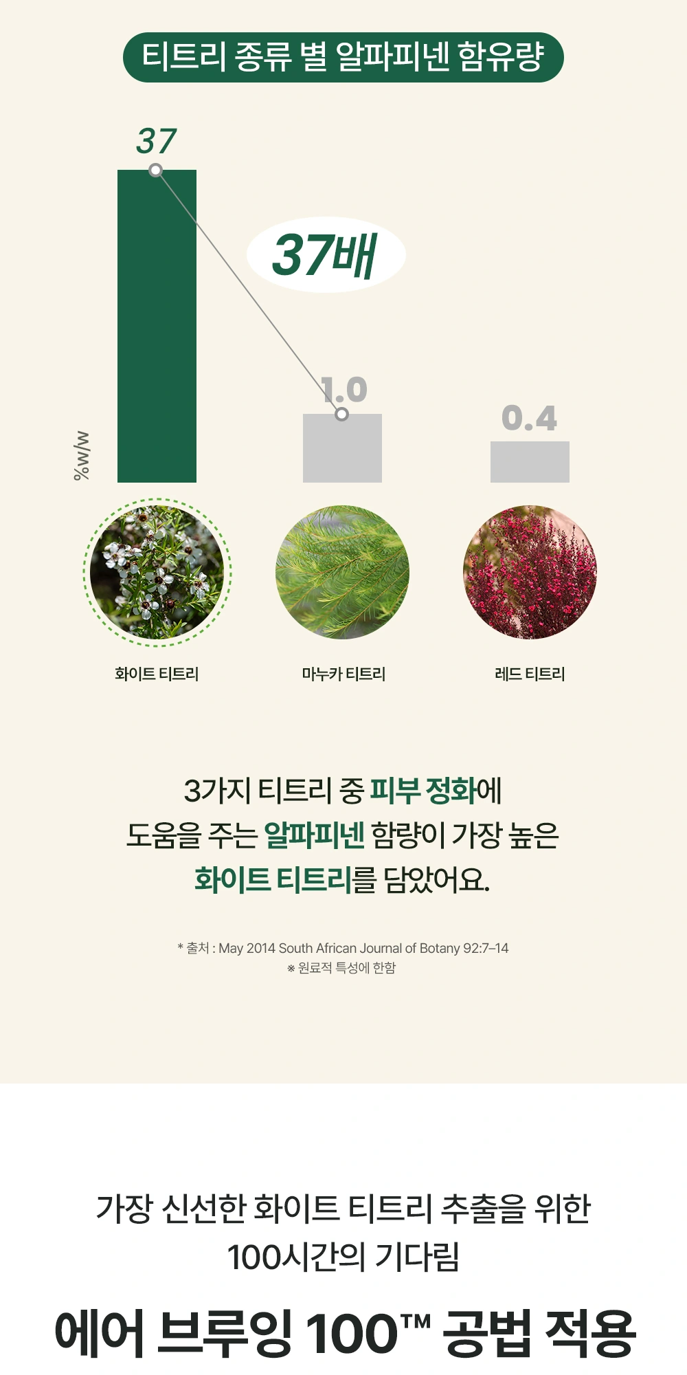 티엘스 화이트 티트리 아크 플러스 클렌징 폼 상세 페이지 작업