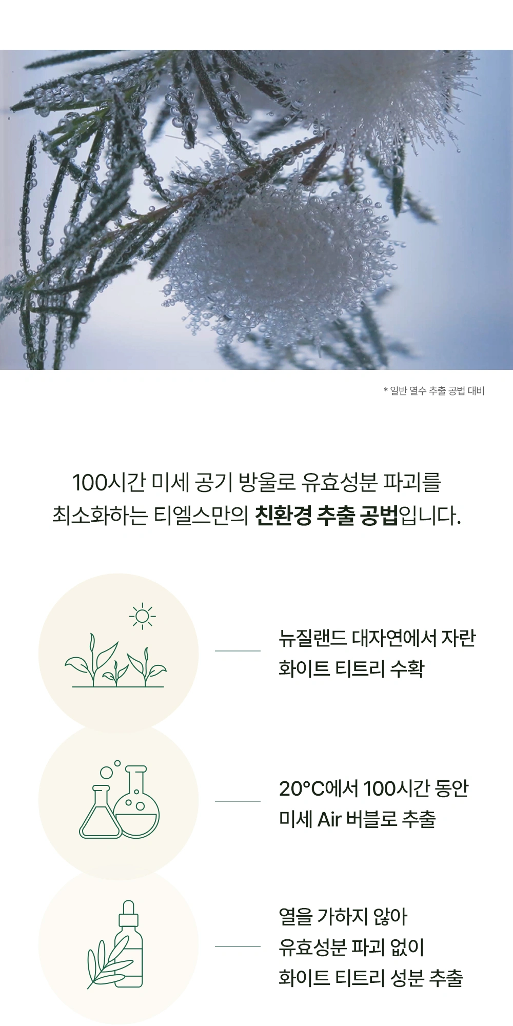 티엘스 화이트 티트리 아크 플러스 클렌징 폼 상세 페이지 작업